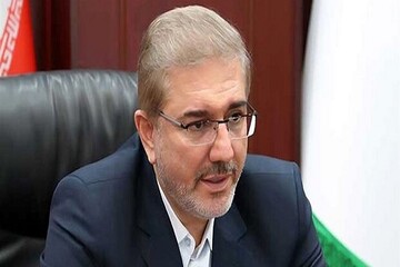 افشاگری رئیس سازمان برنامه دولت رئیسی از اعطای وام به کارمندان بانک‌ها